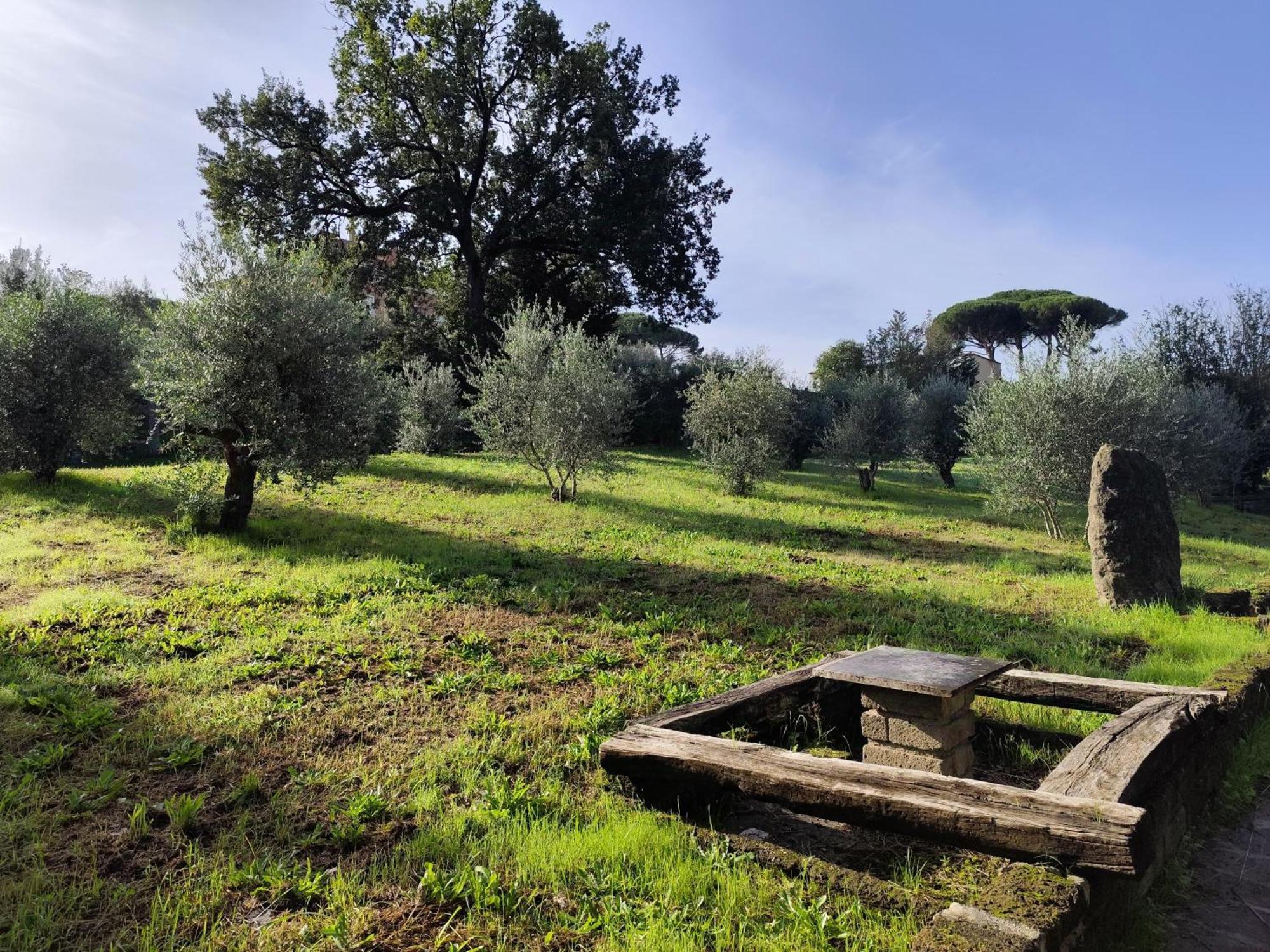 Green Hotel Poggio Regillo Frascati Exterior photo